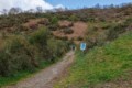 Camino - La Laguna, Castilla y Leon