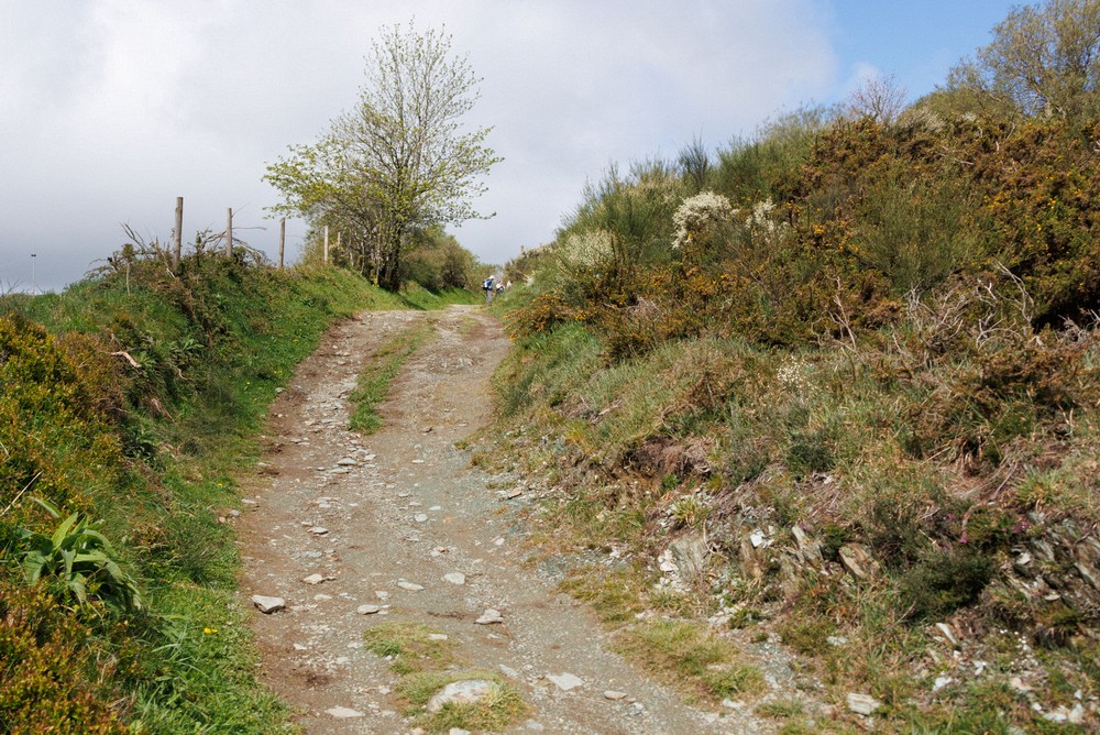 Camino - La Laguna, Castilla y Leon