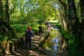 Camino - A Serra, Galicia