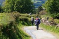 Camino - As Cortes, Galicia