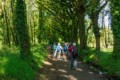 Camino - Ponte Campana, Galicia