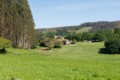 Pasture - Galicia