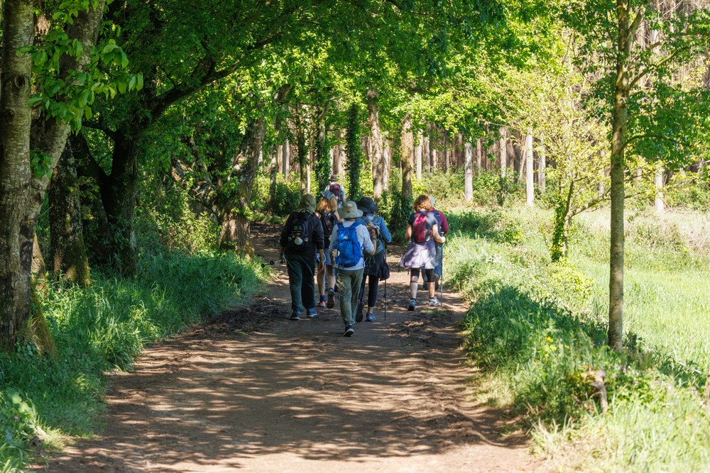 Camino - Porto de Bois, Galicia