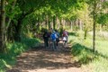 Camino - Porto de Bois, Galicia