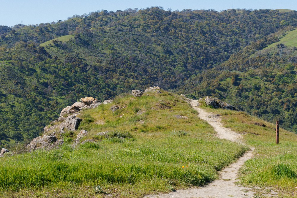 Flag Hill Trail