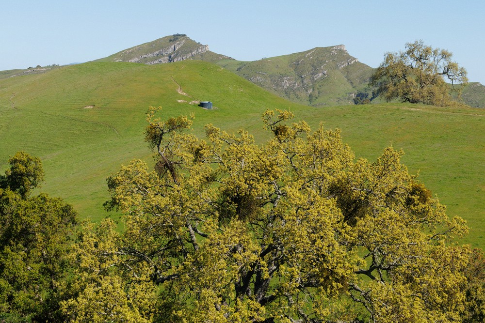 Maguire Peaks