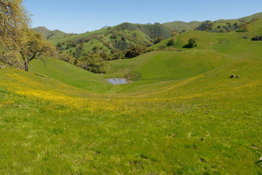 Hidden Valley