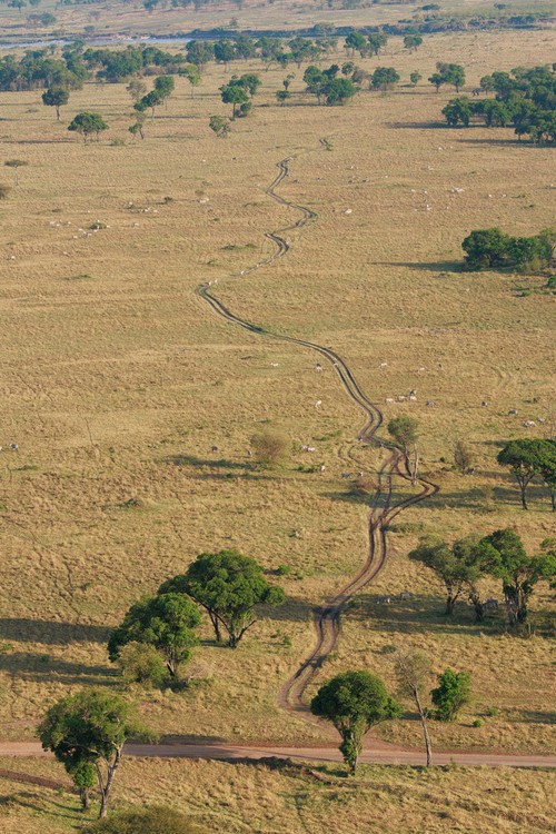 Serengeti