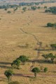 Serengeti