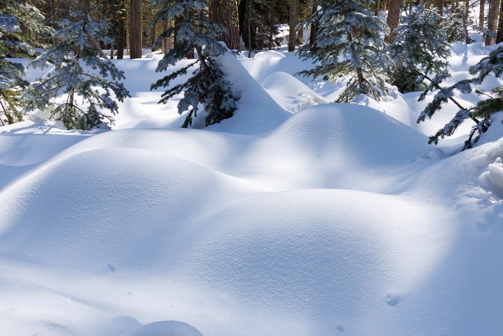 Soft snow