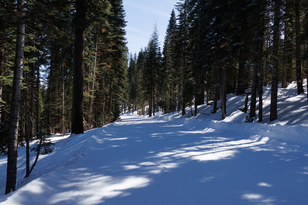 Glacier Point Road