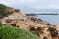 Yehliu Geopark