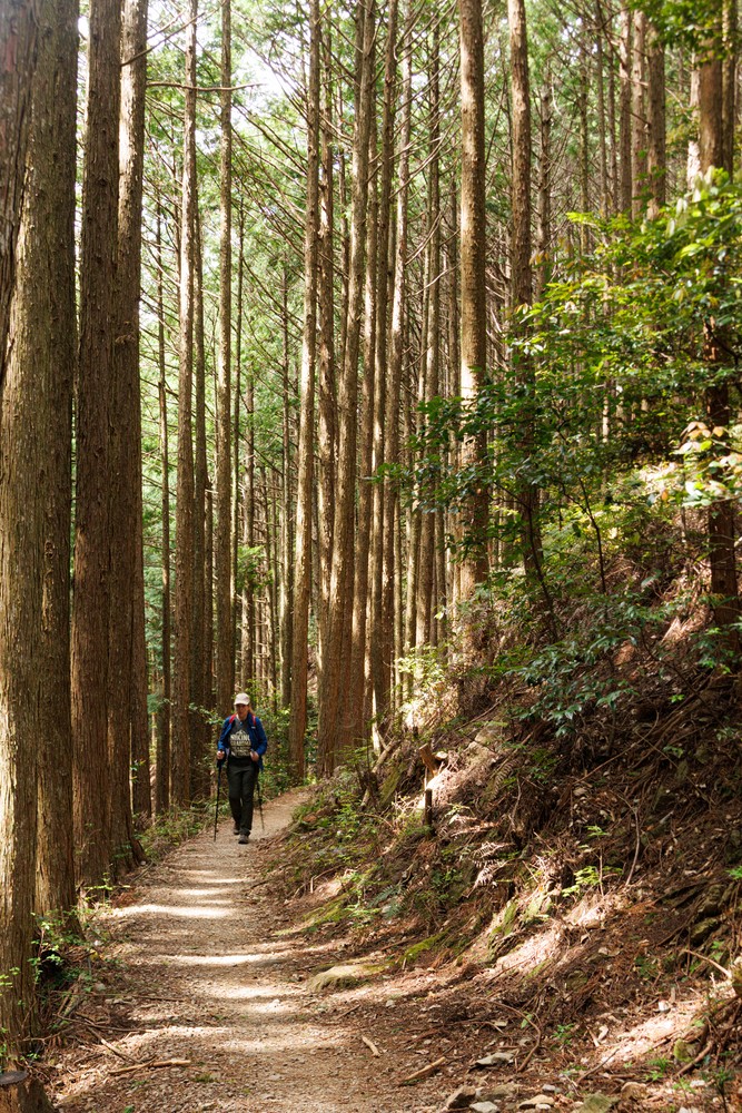 Kumano Kodo trail