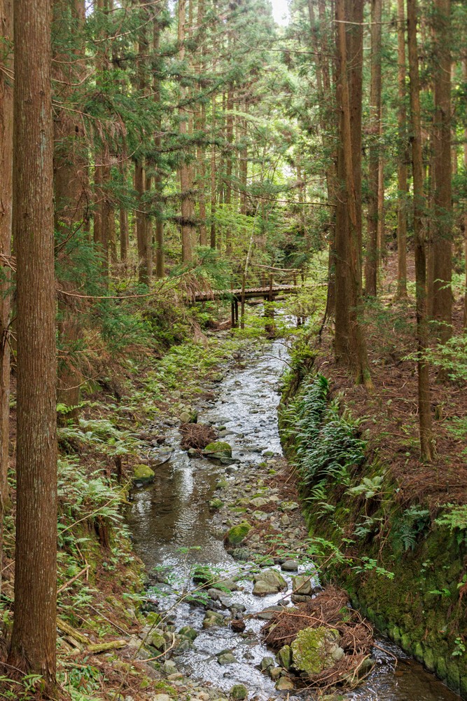 Tsuge River