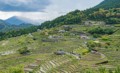 Maruyama Senmaida Rice Terraces