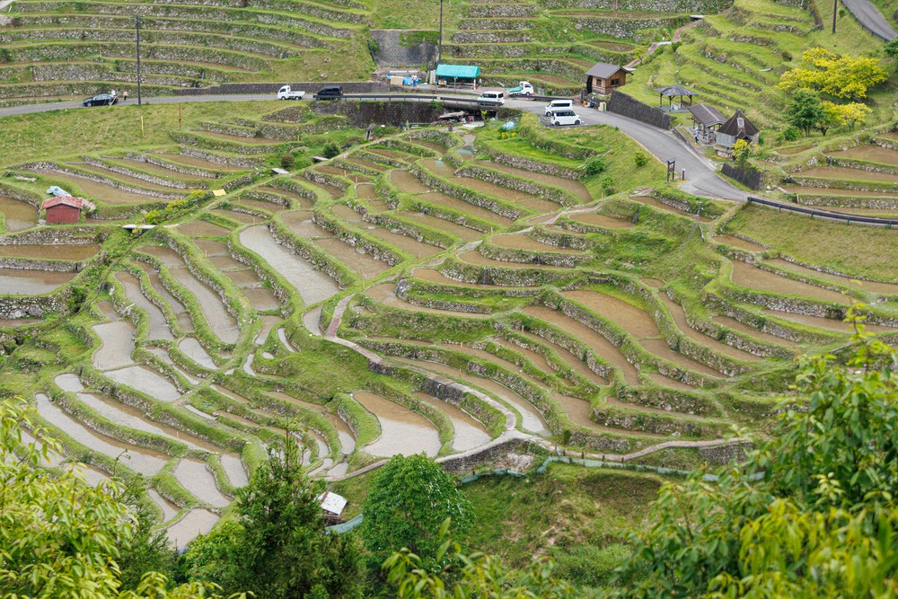 Maruyama Senmaida Rice Terraces