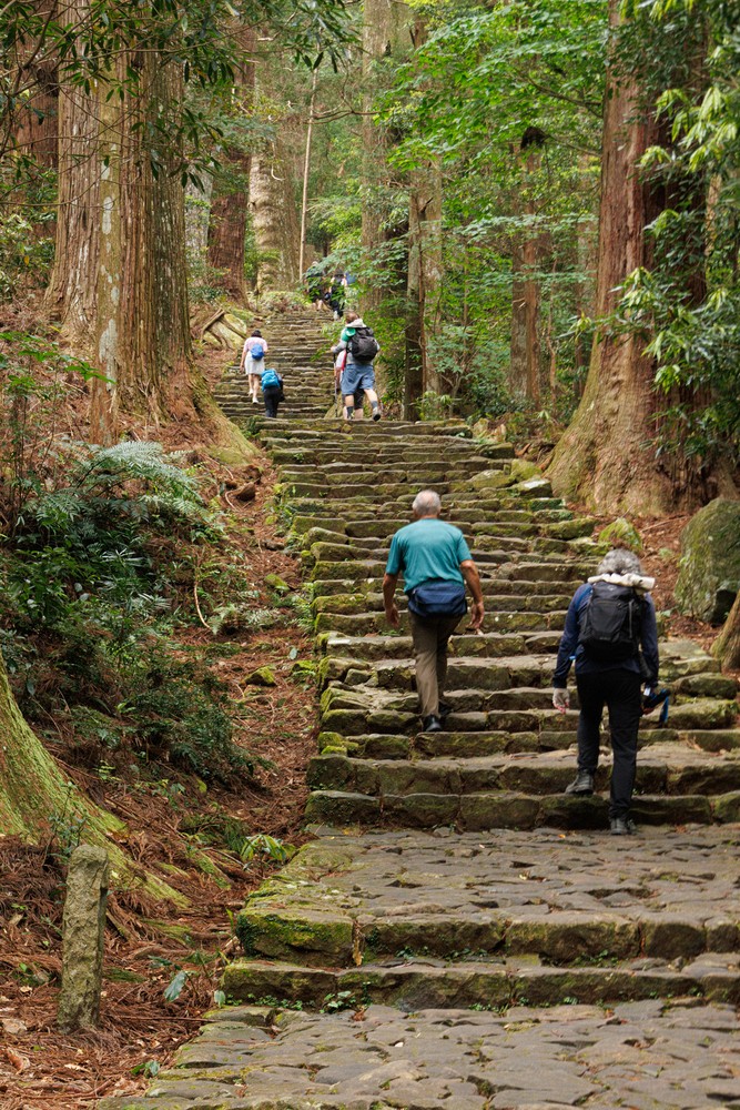 Daimonzaka toward Kumano Nachi Taisha